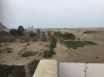 Terreno / Lote , Cañete · Chilca Terreno 27,971.20 m² o 2.79712 Has Km 63.4 Panamericana Sur