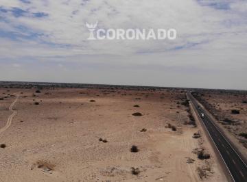 Terreno agrícola , Lambayeque · Fundo Venta en Olmos Panamericana Norte Km 884