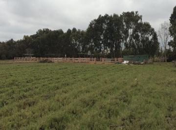 Terreno / Lote , Cañete · Terreno Mala Totalmente Plano