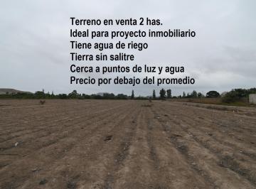 Terreno / Lote , Cañete · Vendo Terreno 2has en Mala Para Proyecto Urbano
