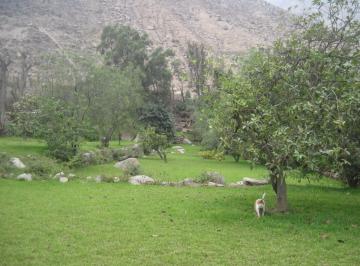Terreno / Lote , Huarochirí · Vendo Terreno Ex Fundo Parca Santa Eulalia 2,458 m²