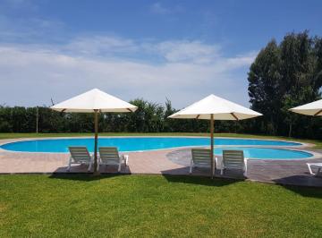 Terreno / Lote , Cañete · Sol Todo El Año/ Oportunidad Inversion / Asia / Condominio / Para Casa Campo
