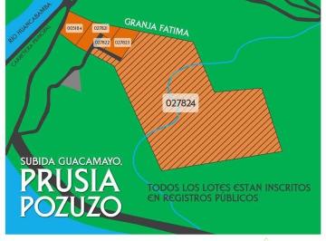 Terreno agrícola , Oxapampa · Vendo Terreno 6 Ha Pozuzo Oxapampa Semi Rural a 100 m Carretera Central