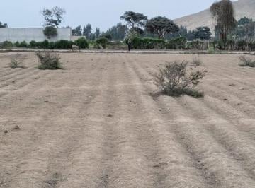 Terreno / Lote , Lima · Remato Terreno Fundo Quebrada Verde Distrito de Pachacamac