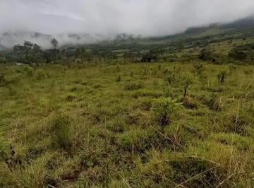 Terreno agrícola , Oxapampa · ¡Gran Oportunidad de Inversión! Terreno en Venta