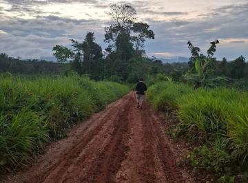 Terreno agrícola , Oxapampa · Terreno de 71 Ha