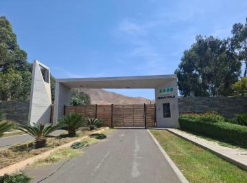 Terreno / Lote , Cañete · Oportunidad de Cesión – Nuevo Polo, Los Portales