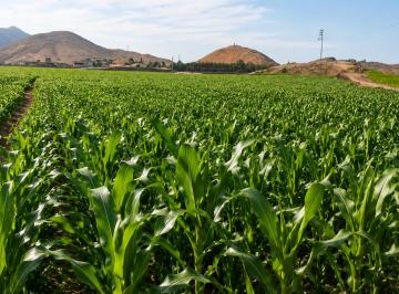 Terreno agrícola , Barranca · Documentación Al Día Título