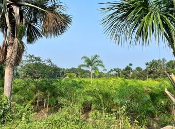 Terreno / Lote , Lamas · Terreno 28.68 Ha Inscrito en Sunarp – Caynarachi, a 2 H de Tarapoto