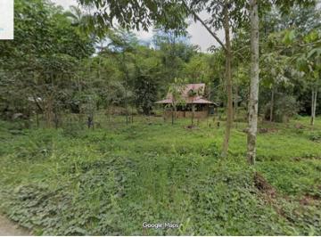 Terreno agrícola de 2 habitaciones, Oxapampa · Terreno 24.5 Ha