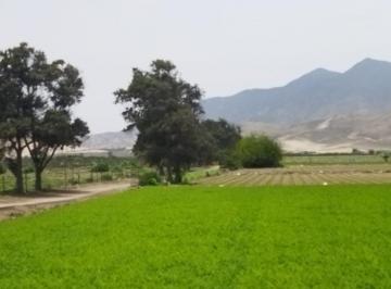 Terreno / Lote , Huaral · Ocasiòn Vendo Terreno 8 Ha Panamericana Norte, Chancay