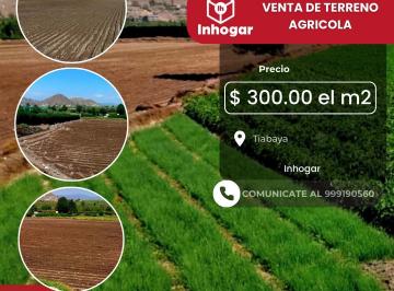Terreno / Lote , Arequipa · Ｖｅｎｄｏ Ｔｅｒｒｅｎｏ Ａｇｒíｃｏｌａ Ｅｎ Ｔｉａｂａｙａ