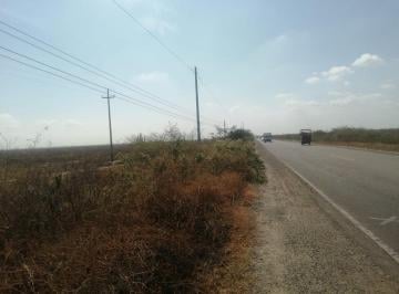 Terreno / Lote , Zarumilla · Vendo Terreno de 74.75 Ha en Tumbes con Frente a La Panamericana.
