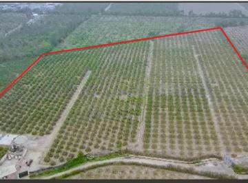 Terreno agrícola , Huaral · Vendo Terreno 4.638 Hectáreas a 35 Minutos del Mega Puerto de Chancay.