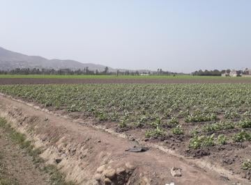 Terreno / Lote , Huaral · Venta Terreno de 7.34has Cerca Al Ovalo Chancay Huaral
