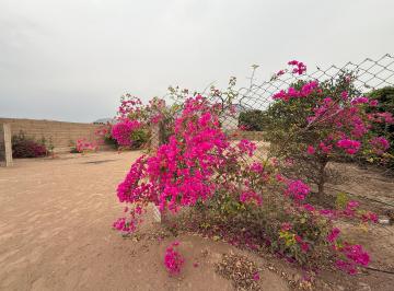 Terreno / Lote , Lima · Venta de Terreno en Pachacamac