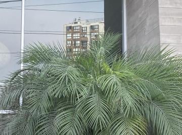 Departamento de 1 habitación, Lima · Stylish Apartament Moderno Full Amoblado de 1 Dormitorio