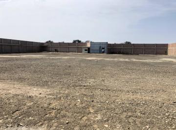 TERRENO INDUSTRIAL · Alquilo o Vendo en Chilca Terrenos Industriales 62 Km. Panamericana Sur