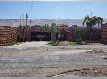 Terreno / Lote , Tacna · Terreno Industrial Implementada