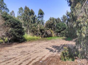 Terreno / Lote , Cañete · Venta de Terreno Al Costado Panamericana Sur