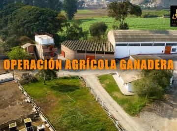 Terreno agrícola , Lima · Venta de Fundo Agricola Ganadero en Pachacamac de 12.8 Ha