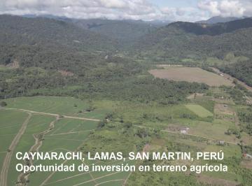 Terreno agrícola , Lamas · Vendo Terreno Agricola Industrial en Tarapoto Perú