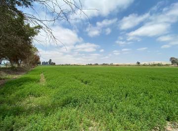 Terreno agrícola , Pisco · Venta de Terreno Agrícola en Pisco