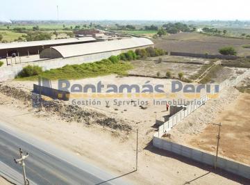 Terreno / Lote , Lambayeque · Terreno en Alquiler de 11,024 m² Carret. Panamericana Norte - Lambayeque