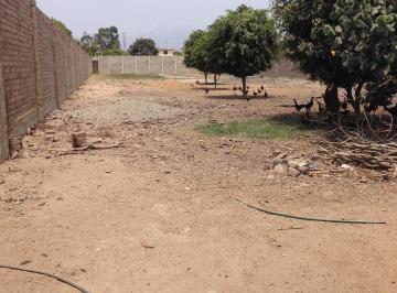 Terreno / Lote , Lima · Terreno en Lurin de 2,000 o 3,000 m 2 Documentos en Regla $300,000