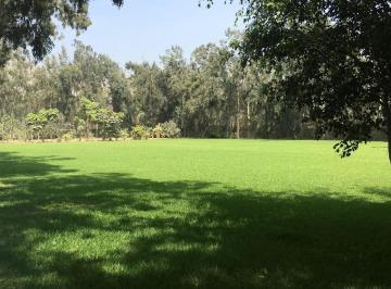 Terreno / Lote , Lima · Realmente Hermosos 15,000 m² Todo Verde en Cieneguilla con Deck.