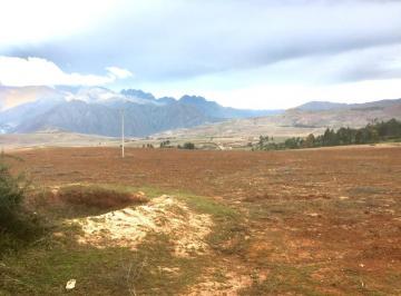 Terreno agrícola en Venta  Chilca · Venta de Hermoso y Productivo Terreno Agrícola en Chilca