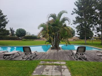 Terreno / Lote , Cañete · Venta de Terrenos en Quilmana - Cañete