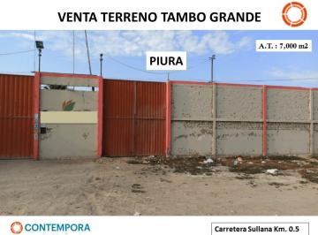 Terreno / Lote , Sullana · Venta Terreno Tambogrande - Carretera Sullana Km. 0.5 - Piura