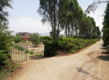 Terreno / Lote , Chincha · Venta Lotes Para Casa de Campo en Entrada Alto Laran Chincha - Ica