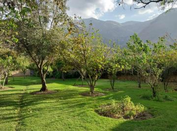 jardín las tunas · Gran Oportunidad Casa Hacienda y Bosques en Caraz.