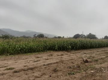 Terreno / Lote , Lima · Se Vende Terreno en Ex Fundo Casa Blanca - Pachacamac
