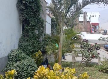 Hall de entrada de la zona · Terreno Pachacamac 284 m² Fte Parq. Dos Lotes Juntos