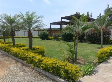 Terreno / Lote , Cañete · Vendo Terreno en Condominio Las Gardenias en Asia del Campo