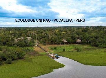 Hotel de 16 habitaciones, Coronel Portillo · Vendo Hotel Eco Lodge 49.26 Ha Cashibococha Pucallpa Peru