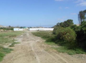 Terreno agrícola · 10000m² · Terreno Chimbote Gran Oportunidad