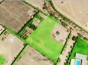 Casa de campo , Cañete · Venta Terreno Para Casa de Campo, Cultivado y Plano.