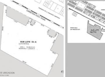Terreno / Lote · 60000m² · Venta/alquiler Terreno Industrial Paita (- 3)