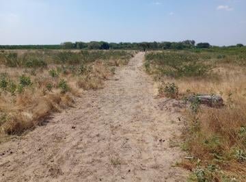 Terreno / Lote , Sullana · Terreno en Piura, 4.40 Ha, Carretera Sullana - Tambo Grande
