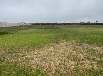 Terreno / Lote , Cañete · Venta de 12,000 m² de Terreno en San Rafael, Mala Entrada de Totoritas