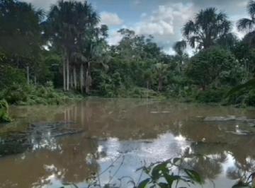 Terreno / Lote de 3 habitaciones, Maynas · Ross Terreno en Varillal Cerca Al Aeropuerto Km 16 Carretera Iquitos - Nauta