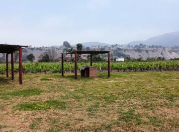 Terreno / Lote · 20145m² · ¡Oportunidad Única! Terreno Agrícola en Venta con Producción de Pisco en El Valle de Azpitia