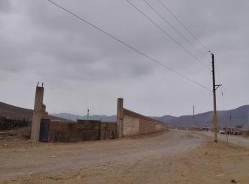 Terreno / Lote Venta · Vendo Local Industrial Esquina Av Central Ideal Almacen Zn1 Parque Porcino Ventanilla