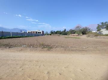 Terreno / Lote , Trujillo · Terreno en Venta en Santo Domingo 1733 m Cerca a Fundo La Fe