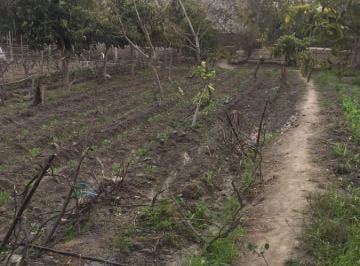 Terreno / Lote · 1256m² · Super Terreno Agricola en Venta a 5 Minutos de La Plaza de Lunahuana