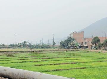 Terreno / Lote , Lima · Venta de Terreno 16000 m² en Lurigancho Chosica